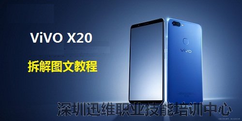 vivo X20